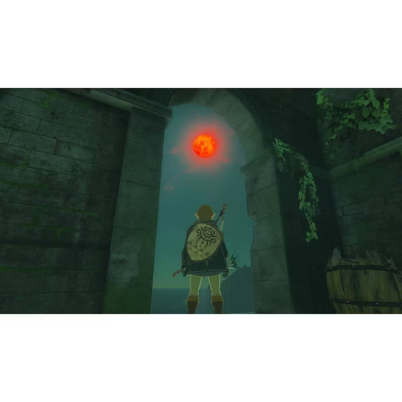 The Legend of Zelda: Tears of the Kingdom - Nintendo Switch